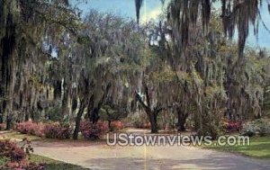 Bonaventure Cemetery - Savannah, Georgia GA  