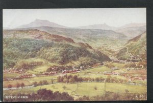 Wales Postcard - Artist View of Bettws-Y-Coed     RS16466