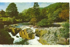 Wales Postcard - Fir Tree Island - Betws-y-Coed - Caernarvonshire - Ref TZ4361