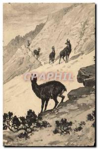 Postcard Old Hunting Chamois