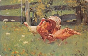 US78 painting Germany turkey scene 1906 frune grassel sent to Schwabach