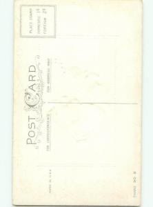 Divided-Back EASTER CHICK SCENE Cute Postcard AA0882