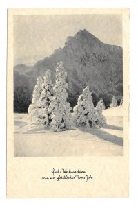 Christmas Card Frohe Weihnachten Fir Trees Snow Tirol Austria 1954 Postcard