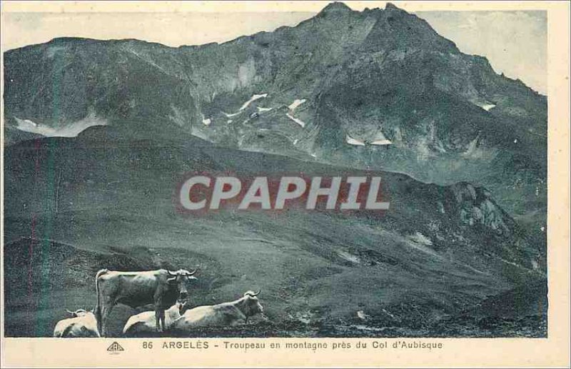 'Old Postcard Argeles Flock in Mountain Near the Col d''Aubisque Cows'