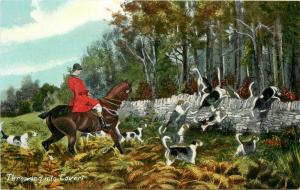 Vintage Postcard English Fox Hunt Series 1173 Throwing into cover
