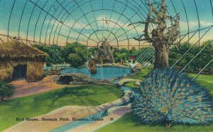 USA Bird House Hermann Park Houston Texas Linen Postcard 03.34