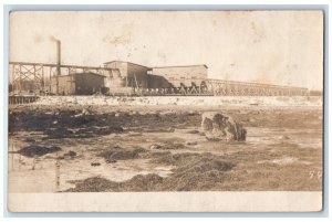 1906 Factory Railroad Tracks Searsport Maine ME RPPC Photo Antique Postcard