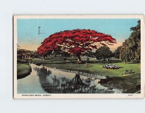 Postcard Poinciana Regia, Hawaii