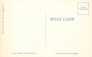 Rough Surf on the Coast