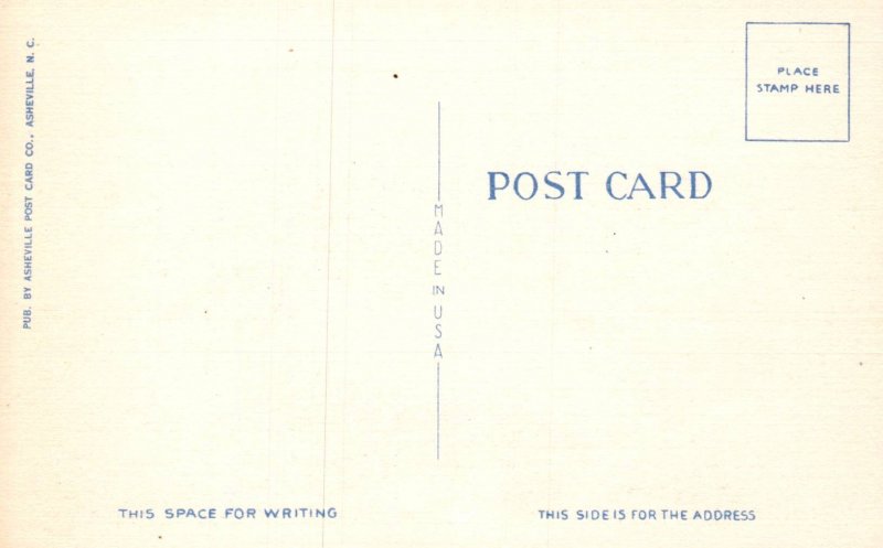 Rough Surf on the Coast