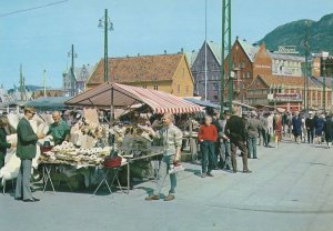 Reindeer Slippers Seal Hides Dealer Denmark Shoes Postcard