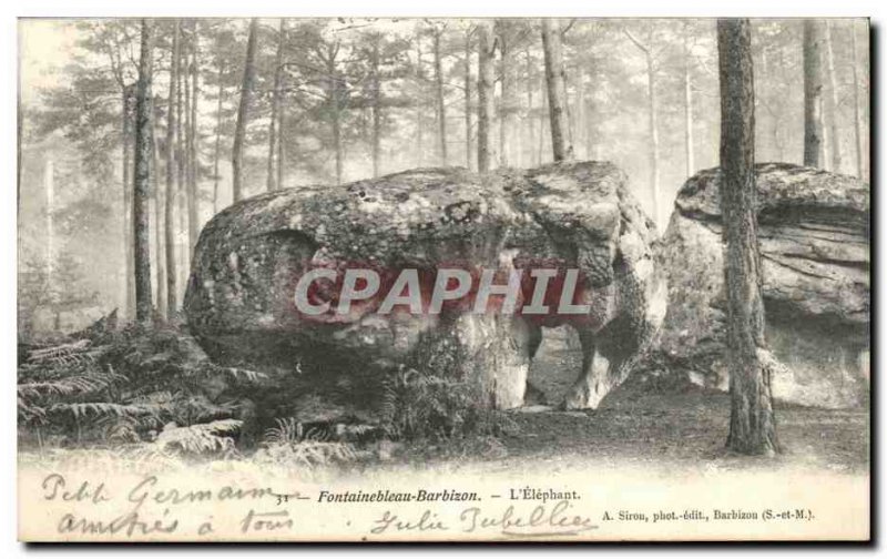 Old Postcard Fontainebleau Barbizon The Elephant