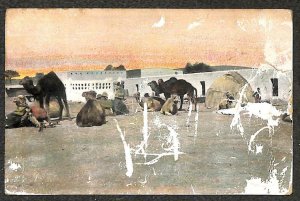 GERMAN COLONIES IN AFRICA CAMELS PROTECTION SERVICE FORCE POSTCARD PD (c.1908)