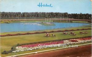 Parading to the post on the turf, Hialeah Racecourse Miami, Florida, FL, USA ...