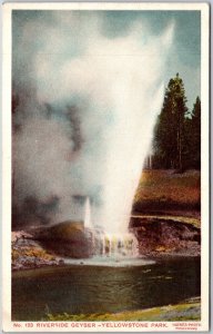 Riverside Geyser Yellowstone National Park Tourist Attraction Postcard