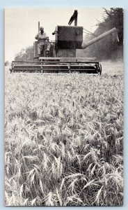 Platte County Missouri MO Postcard Harvest Time Wheat Crops Farmer Farming c1940