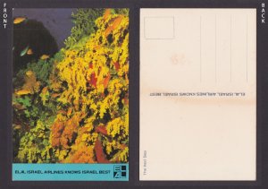 ISRAEL, ELAL Postcard, The Red Sea