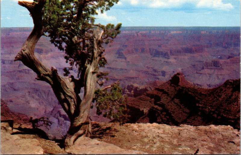 Vtg East Rim Drive View Yavpai Grand Canyon National Park Arizona AZ Postcard