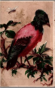 1880s PINK GRAY BIRD WITH DRAGONFLY FLORAL VICTORIAN TRADE CARD 25-234