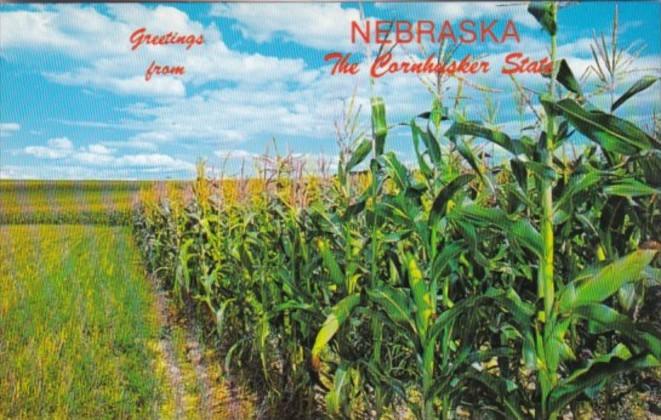 Greetings From Nebaska The Cornhusker State