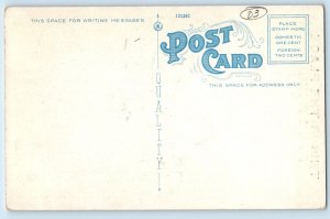 Humor Postcard Fat Woman Big Butt Fish This Is The Place To Be Tickled c1920's