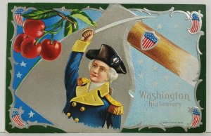 George Washington Birthday Patriotic Embossed Nash Postcard N4