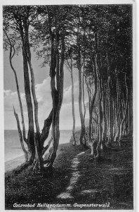 A690 Germany 1936 Ostseebad Heiligendamm Gespensterwald Forest postcard