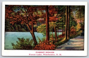 Winchester New Hampshire~Forest Ridges On Forest Lake~NYCE Vintage Postcard