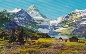 Canada Canadian Rockies Mount Assiniboine Known As The Matterhorn Of The Cana...