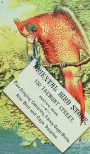 1870's-80's Oriental Bird Store, Singing Canaries Parrot Boston Trade Card F97