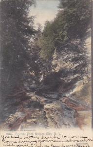 Emerald Pool Watkins Glen New York Rotograph 1907