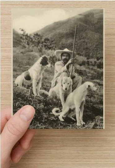 Single (1), Reproduction Vintage Postcard, Mexican Man w/Dogs Mountains in Sepia