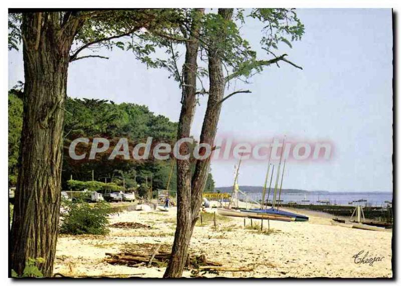 Modern Postcard Bassin D'Arcachon L'Herbe The Beach