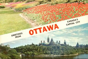 Canada Ottawa Greetings With Split View Showing Tulip Gardens and Canadian Ho...