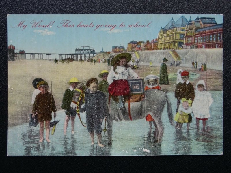 Lancashire BLACKPOOL BEACH Children & Donkey Old Postcard by Corona of Blackpool