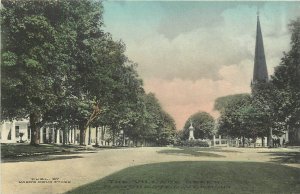 Postcard C-1910 Manchester Vermont Village Green Wards Drug Store 24-6460