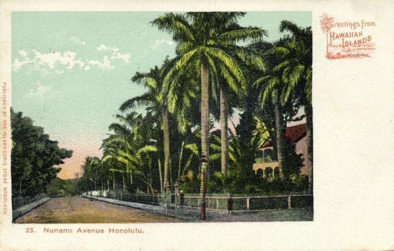 hawaii, HONOLULU, Nunanu Avenue (1899) Island Curio Store No. 23