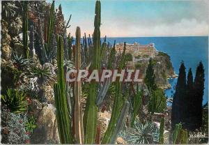 Postcard Modern MONACO - Exotic gardens View of the Rock of Monaco