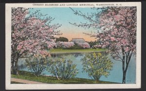 DC WASHINGTON Japanese Cherry Blossoms and Lincoln Memorial ~ WB