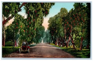 c1910 Car Passing Tustin Drive Santa Ana California CA Antique Postcard