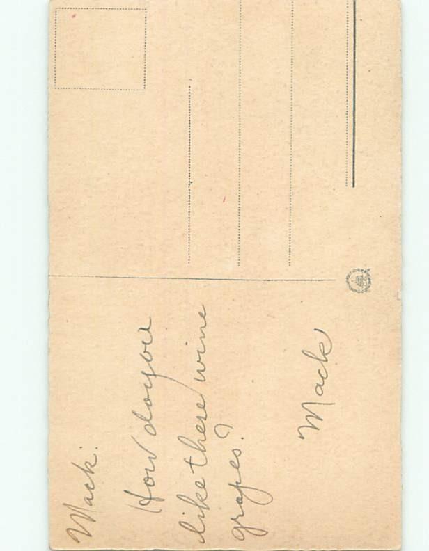 Divided-Back GREAT SCENE Greeting Postcard AA7173