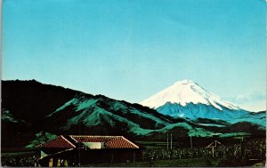 Mt Cotopaxi Volcano Ecuador South America Postcard PM Cancel WOB Note VTG 