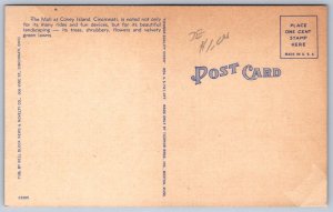 K42/ Cincinnati Ohio Postcard Coney Island Amusement Park Ferris Wheel 394