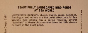 Vintage Postcard Bird Ponds Sea World San Diego California   369