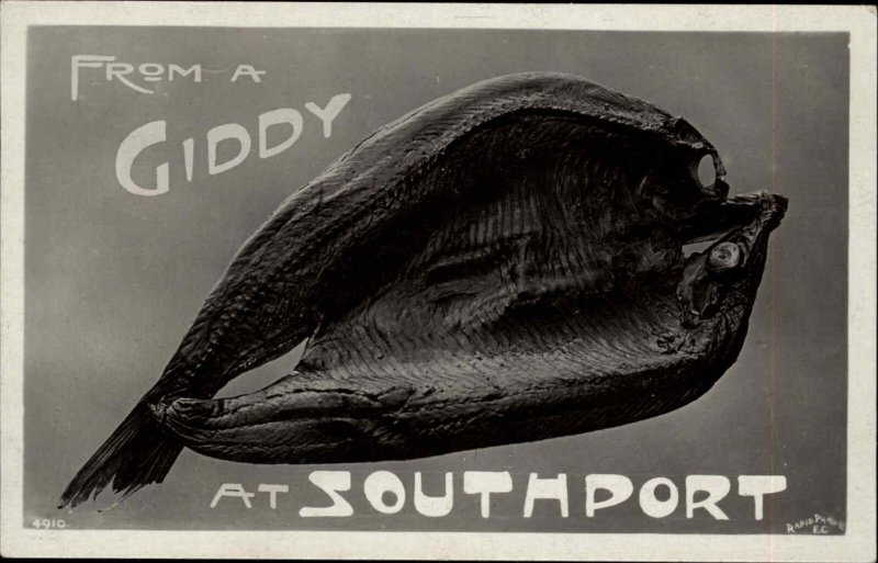 Giddy Fish Humor Southport England c1910 Real Photo Postcard