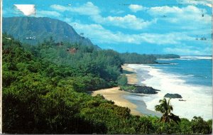 Lumahai Beach Garden Island Kauai Hawaiian Hala Trees c1978 Postcard WOB Note 