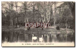 Old Postcard Le Mans Botanical Garden Grand Lake Swans