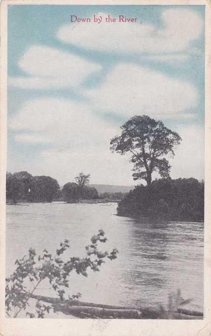 Down by the River Vertical Scene Postmarked at Fulda MN Minnesota - pm 1919 - WB