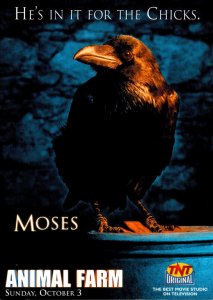 TV Series Animal Farm Moses He's In It For The Chicks