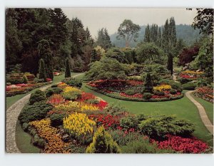 M-179251 The Sunken Garden The Butchart Gardens Victoria Canada